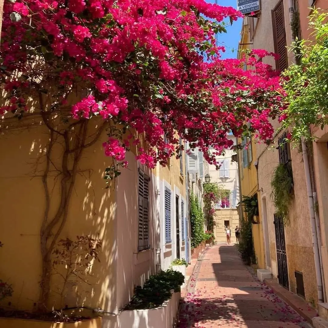 Charmant T1 A Antibes Apartment