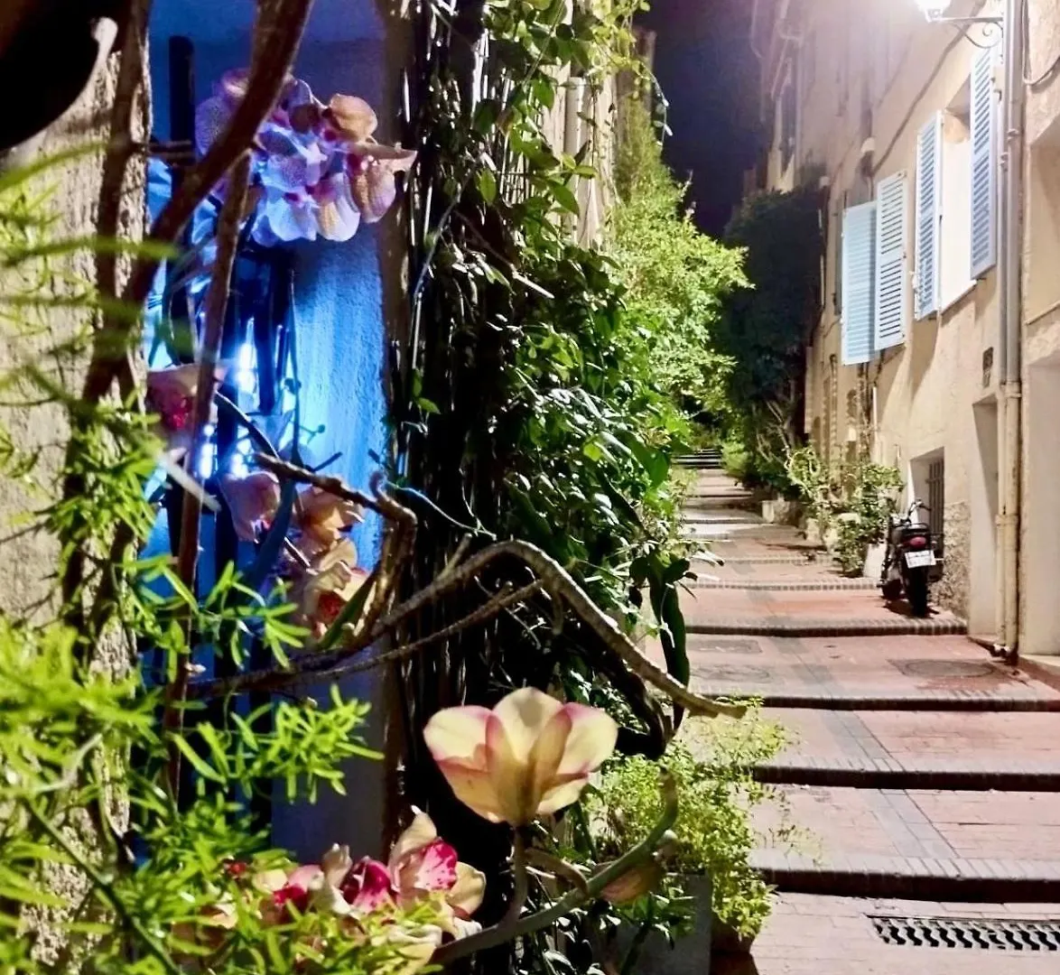 Charmant T1 A Antibes location